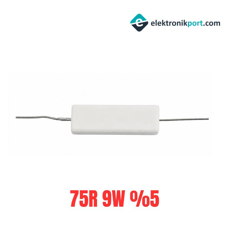75R 9W %5 Tolerans Taş Direnç