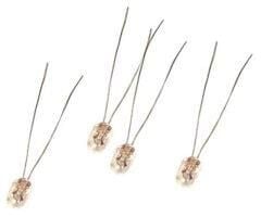 Oto Teyp Ampulü 6 Volt