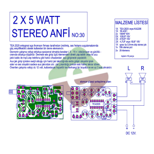 2x5W Stereo Anfi Devresi Demonte Kit Kendin Yap (NO:30)