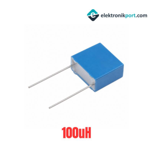 Neosid 100uH Bobin