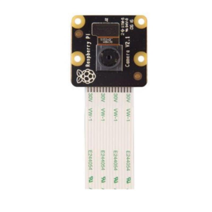 Raspberry Pi Kızılötesi Kamera Modülü V2