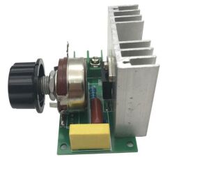 4000W SCR Voltaj Regülatörü Dimmer Yüksek Güç  220V AC