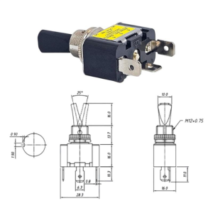 IC-151B Asw Ledli Toggle Swıtch 12V 30A